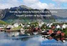 Norveç Göçmen İşçi Alımı Başvurusu Maaşları Yaşam Şartları